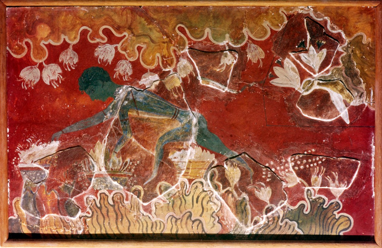 لوحة Saffron-Gatherer Fresco من قصر مينوان الملكي ، كنوسوس ، كريت. القرن الخامس عشر قبل الميلاد بواسطة غير معروف
