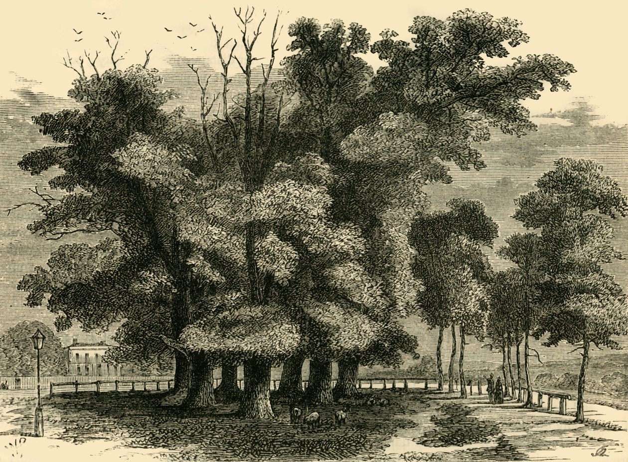 الأخوات السبع ، في عام 1830 ، c1876. بواسطة غير معروف