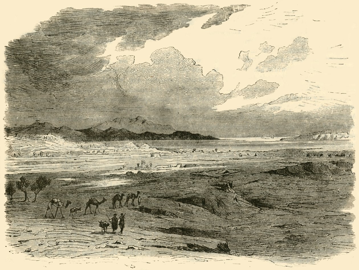 موقع تروي ، 1890. بواسطة غير معروف