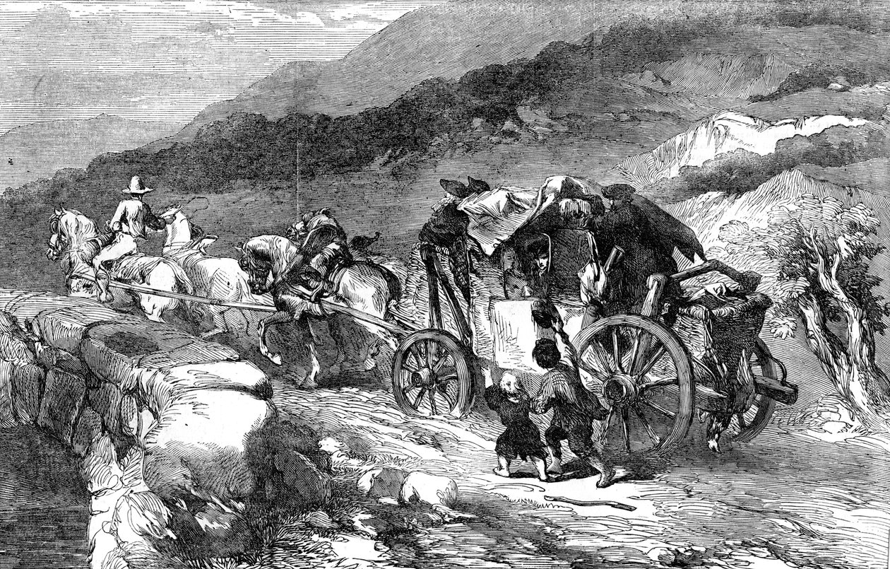 مدرب المرحلة الأخيرة من القرن 1855 بواسطة غير معروف