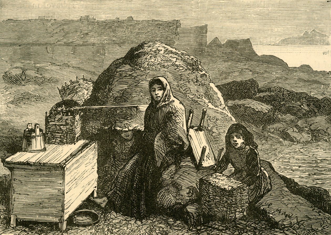 دولة أيرلندا: عائلة تم طردها بالقرب من إريسمور ، c1880. بواسطة غير معروف