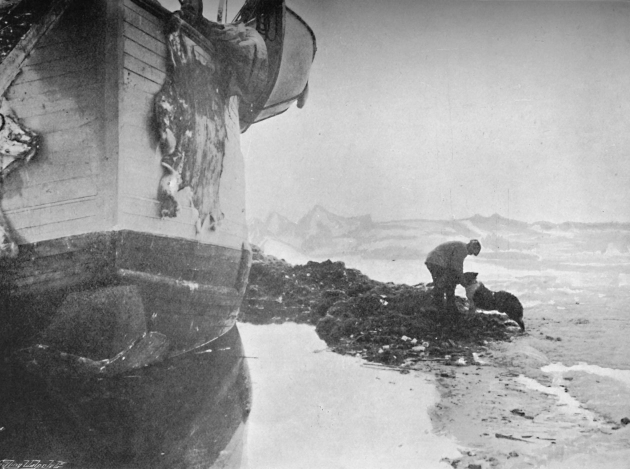 مؤخرة المؤطر. يوهانسن وسلطان ، 16 يونيو 1894 ، 1897 بواسطة غير معروف