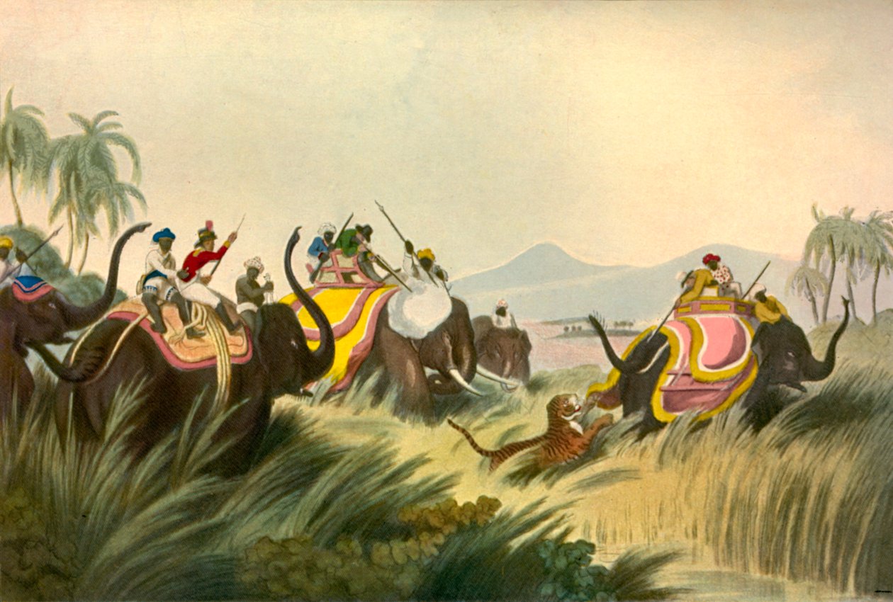 The Tiger Hunt ، c1808 ، 1901. بواسطة غير معروف