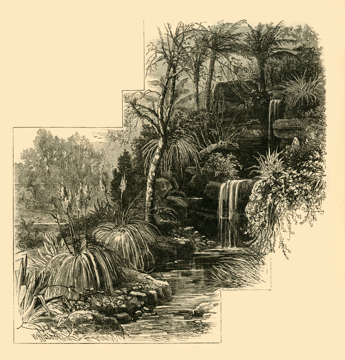 الحدائق الاستوائية ، باترسي بارك ، c1878. بواسطة غير معروف