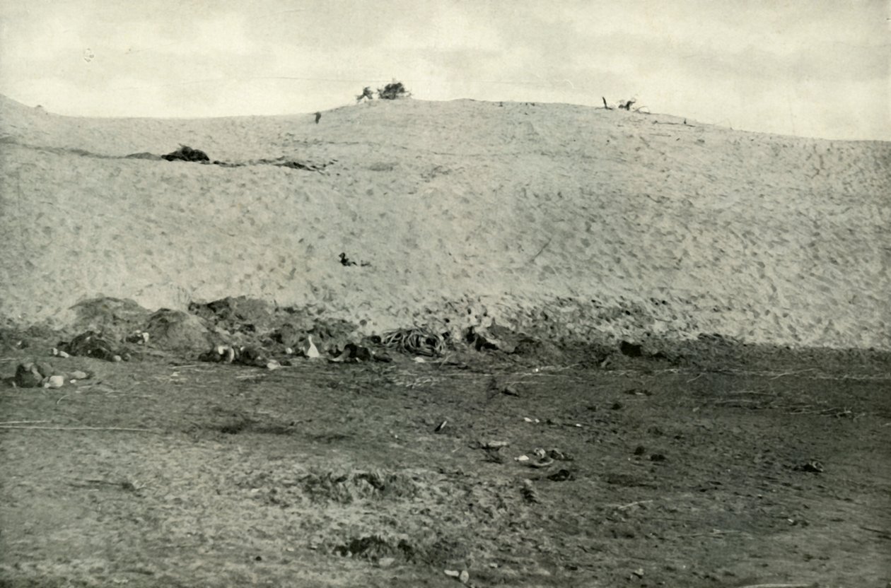الهزيمة التركية على قناة السويس ، 1915 ، 1919. بواسطة غير معروف