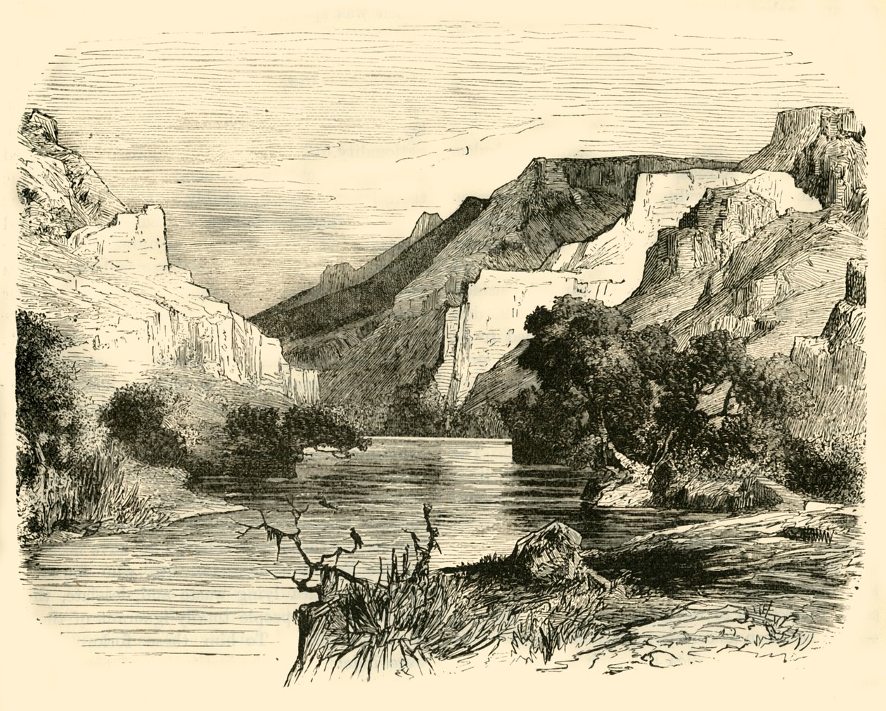 وادي تيمبي ، 1890. بواسطة غير معروف
