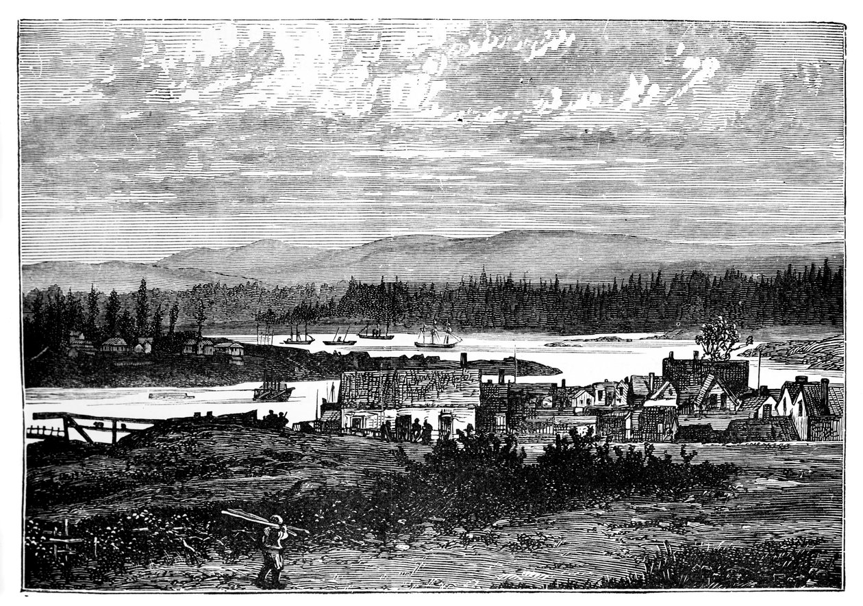 الضواحي الغربية لفيكتوريا ، جزيرة فانكوفر ، كندا ، c1888 بواسطة غير معروف