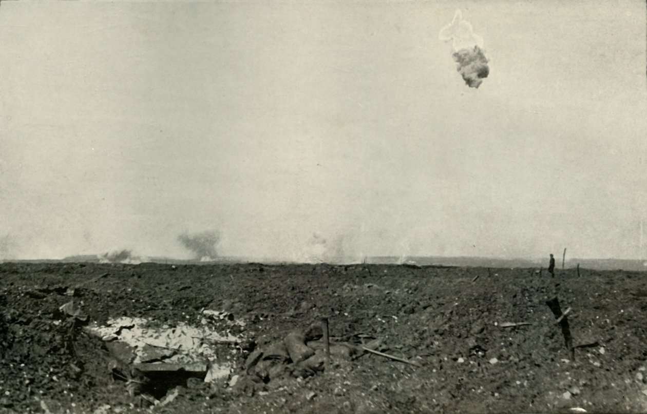 الدب الصوفي ، 1919. بواسطة غير معروف