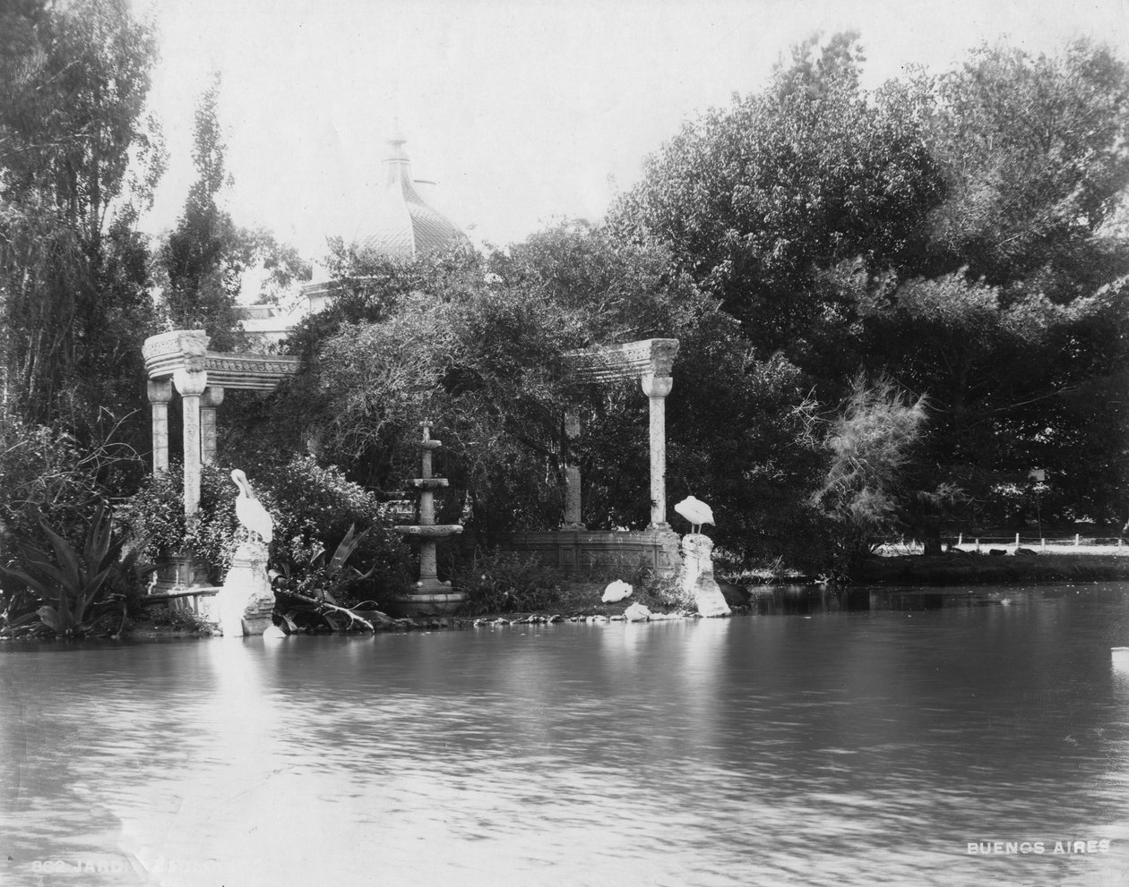 الحديقة النباتية في حديقة باليرمو ، بوينس آيرس ، الأرجنتين ، 1927 بواسطة غير معروف
