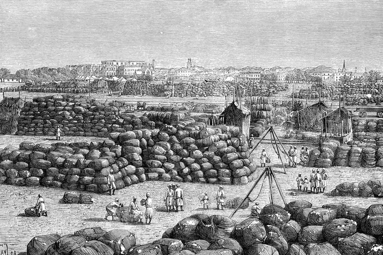 سوق القطن في بومباي ، الهند ، 1895 بواسطة غير معروف