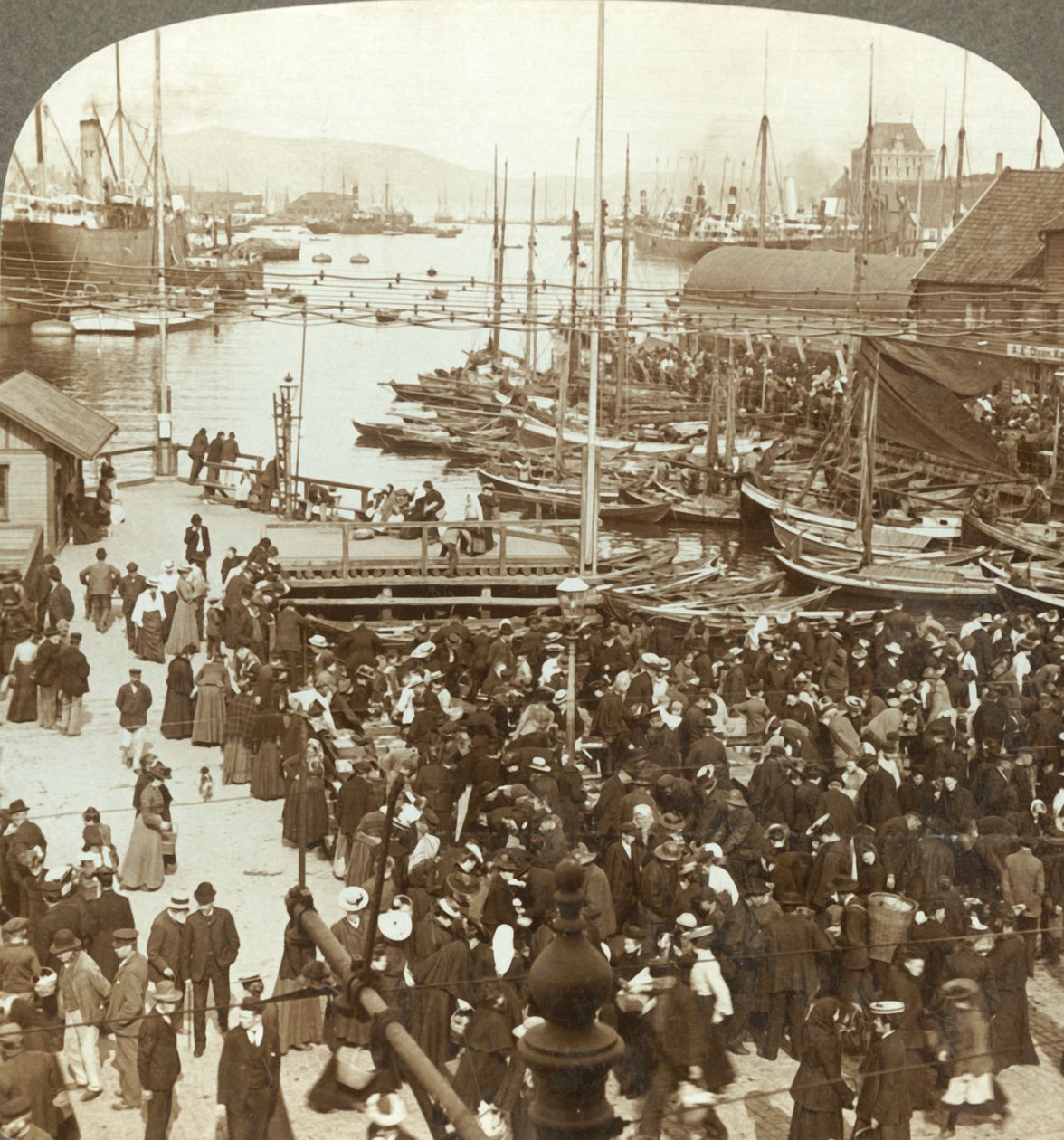 الميناء ، شمال غرب من السوق في بيرغن ، أكبر سوق للأسماك في النرويج ، c1905. بواسطة غير معروف