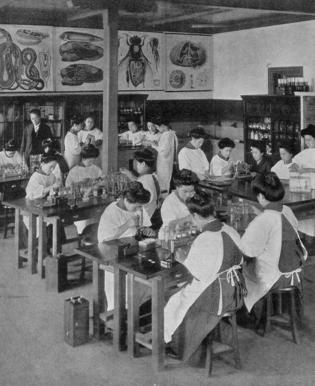 التعليم العالي للنساء في اليابان ، 1910 بواسطة غير معروف