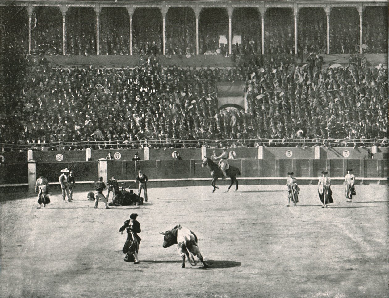 الجزء الداخلي من Bullring ، مدريد ، إسبانيا ، 1895. بواسطة غير معروف