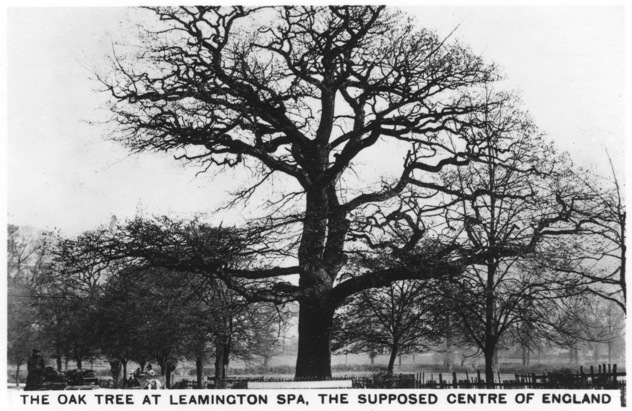 البلوط في Leamington Spa ، المركز المفترض لإنجلترا ، 1936 بواسطة غير معروف