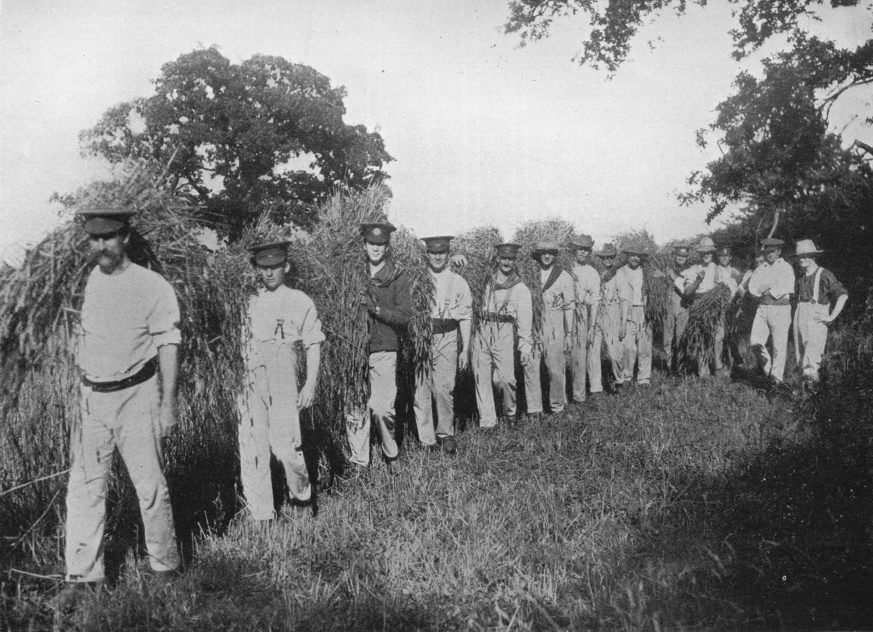 نقص العمالة الزراعية: الجنود الذين يساعدون في الحصاد ، 1915 بواسطة غير معروف