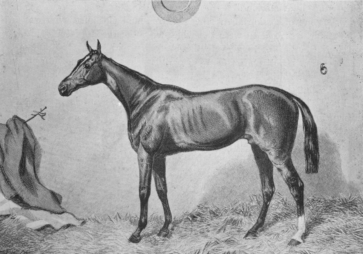ثورمانبي ، c1860 ، 1911 بواسطة غير معروف