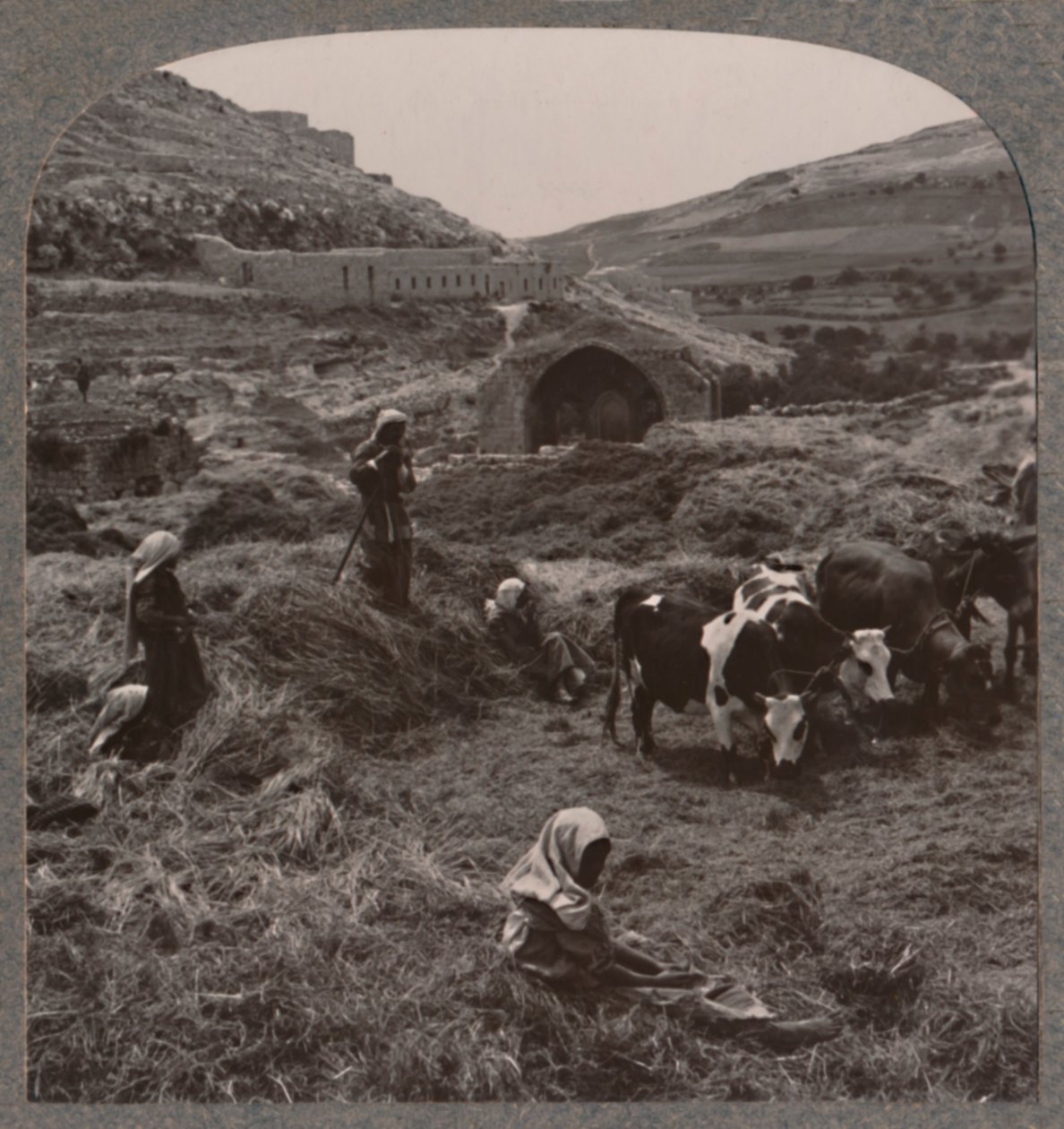 درس الحبوب بالقرب من بئر جاكوبس ، c1900 بواسطة غير معروف