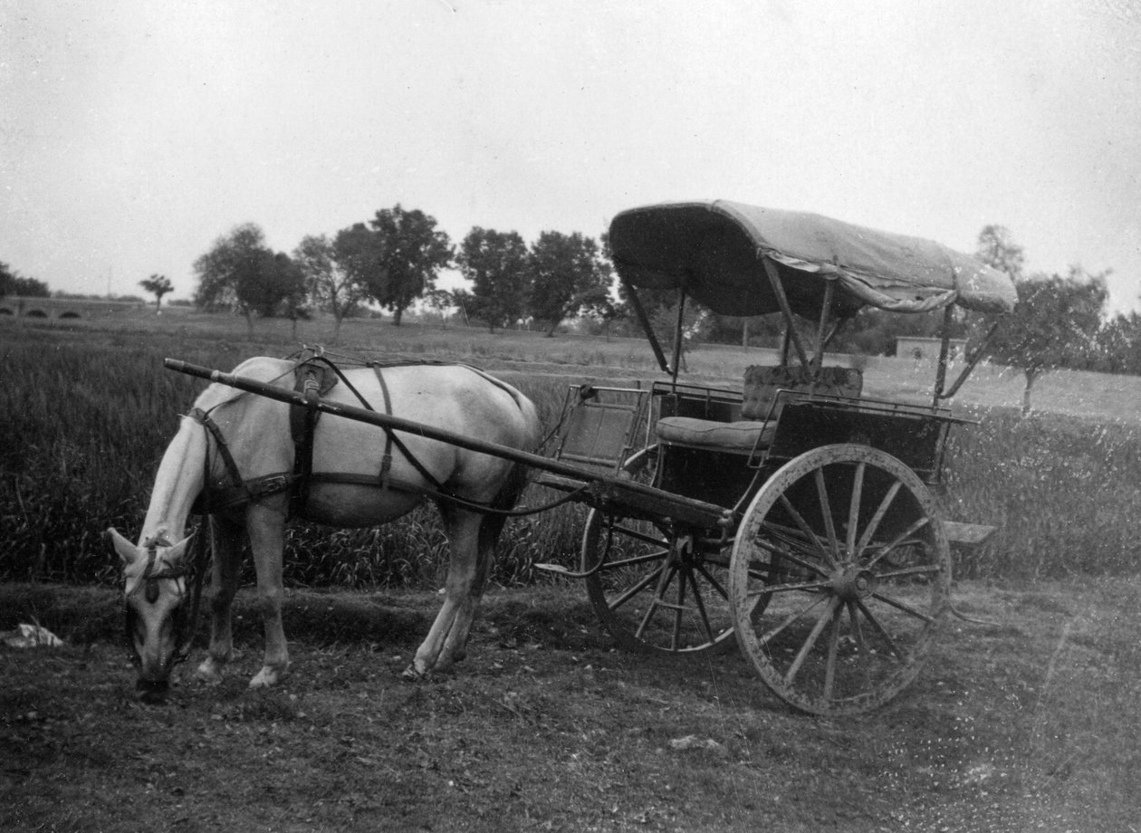 عربة تونغا للخيول ، موترا ، الهند ، 1917 بواسطة غير معروف