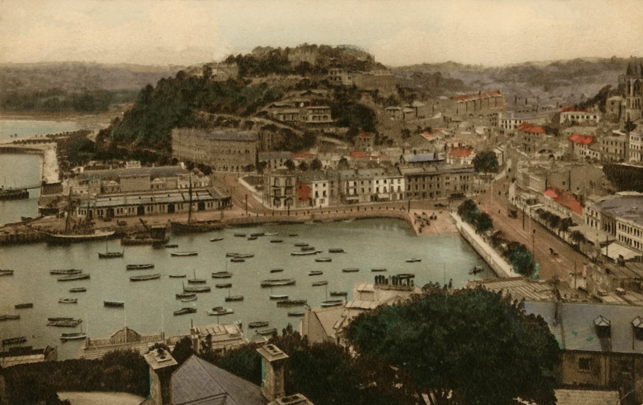 توركاي من Vane Hill ، 1930. بواسطة غير معروف