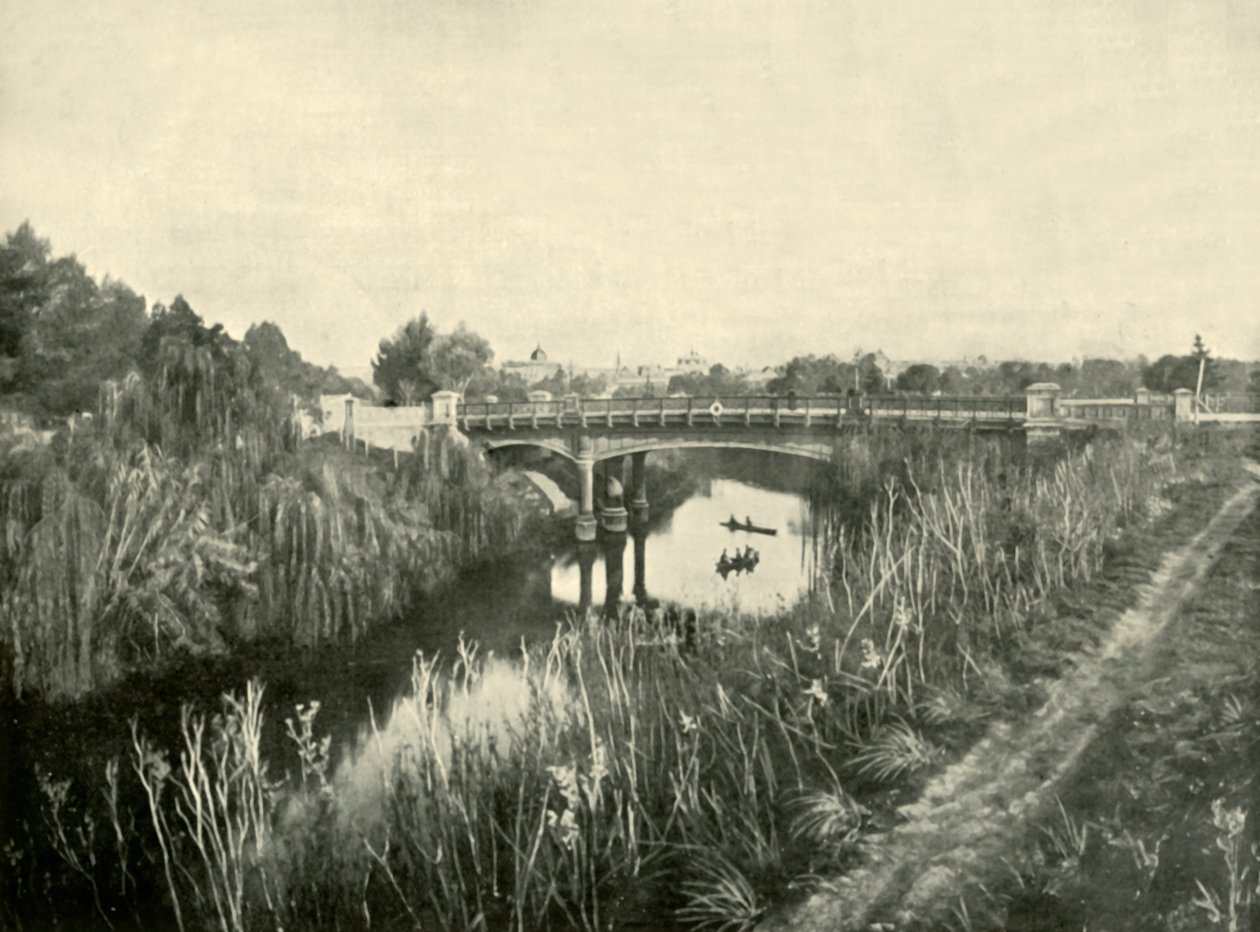 بحيرة تورينس ، أديليد ، 1901. بواسطة غير معروف