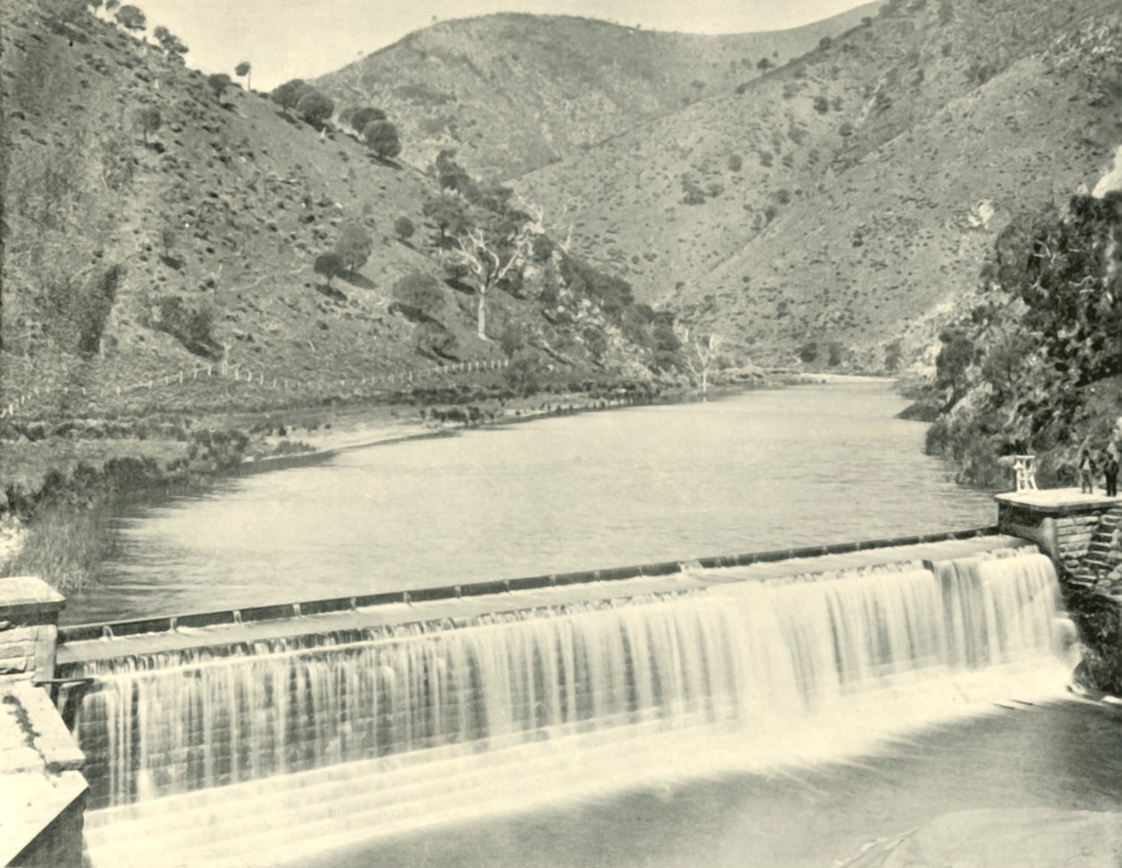 تورينس وير ، أديليد ، 1901. بواسطة غير معروف