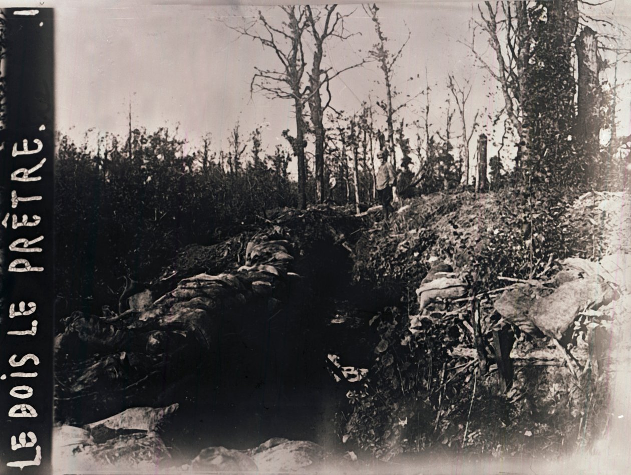 الخنادق ، Bois-le-Prêtre ، لورين ، شمال فرنسا ، c1914-c1918 بواسطة غير معروف