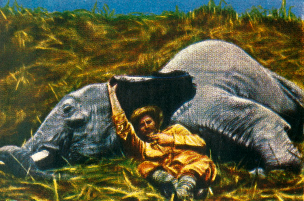 صائد الكأس مع فيل ميت ، c1928. بواسطة غير معروف