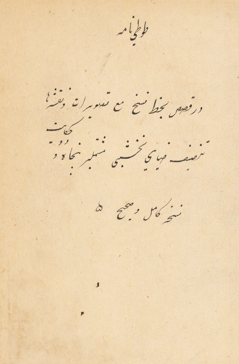 حكايات اسم توتي للببغاء ، ج. 1560. بواسطة غير معروف