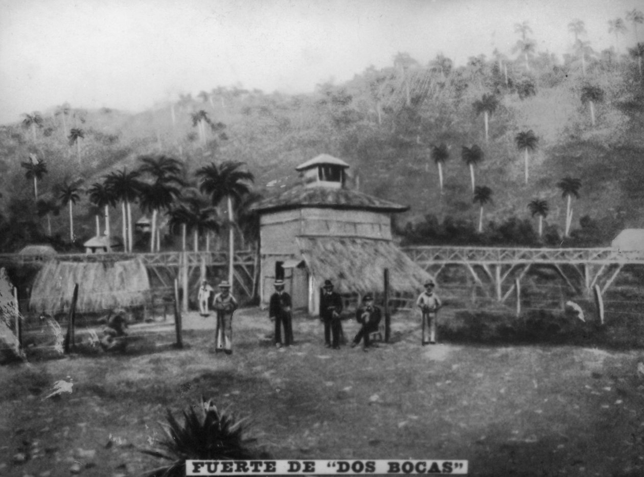حصنان للفم ، 1896 ، 1920 بواسطة غير معروف