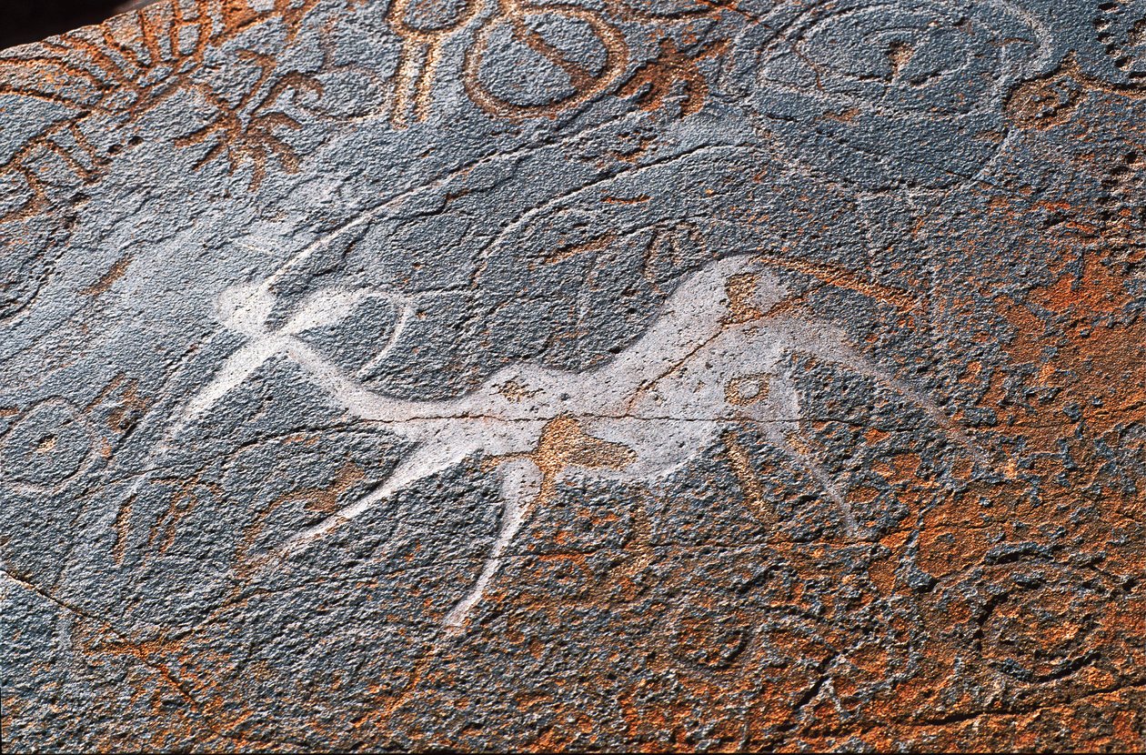 لوحات Twyfelfontein الصخرية ، DAMARALAND ، NAMIBIE بواسطة غير معروف