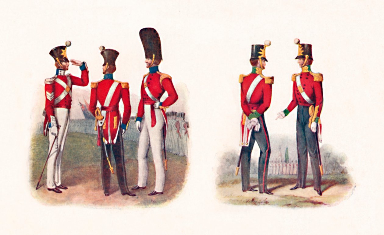 زي Regt. 86 ، 1842 ، و Regt. ، 1848 ، 1904 بواسطة غير معروف