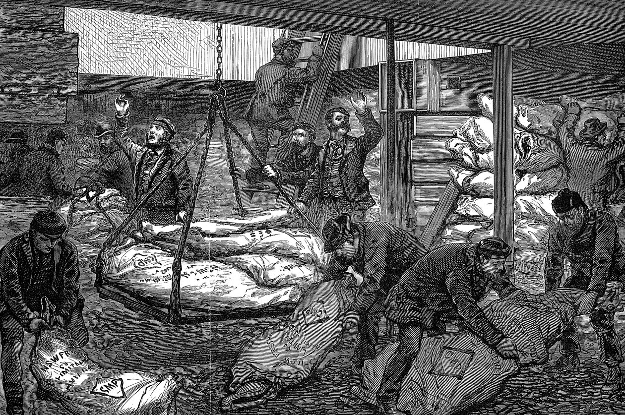 تفريغ اللحوم المجمدة من أستراليا وجنوب حوض الهند الغربي ، ميلوال ، لندن ، 1881 بواسطة غير معروف