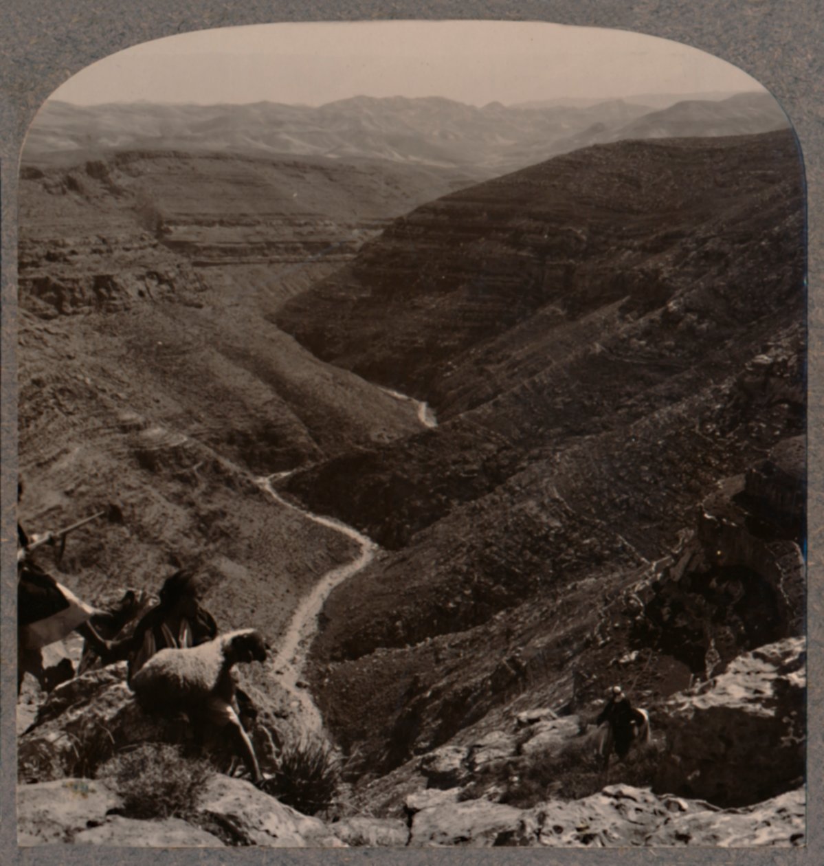 وادي أرنو ، الراعي والأغنام في المقدمة ، c1900 بواسطة غير معروف