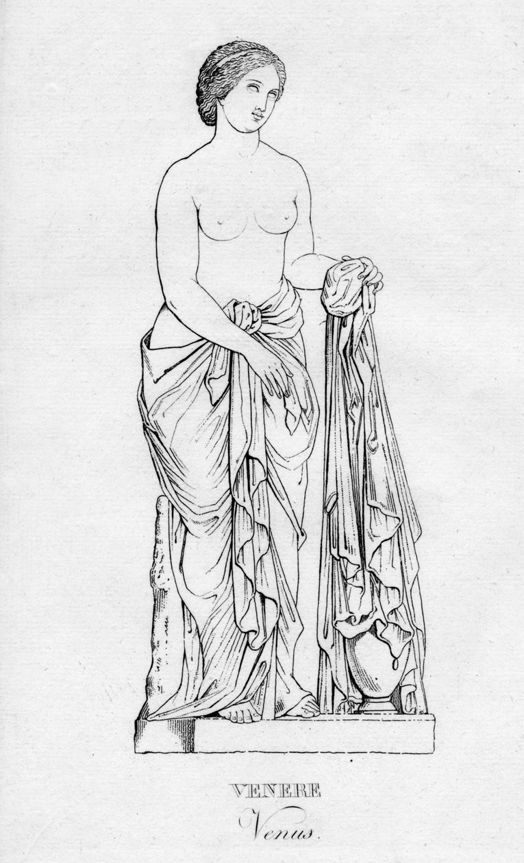 فينير فينوس ، c1850 بواسطة غير معروف