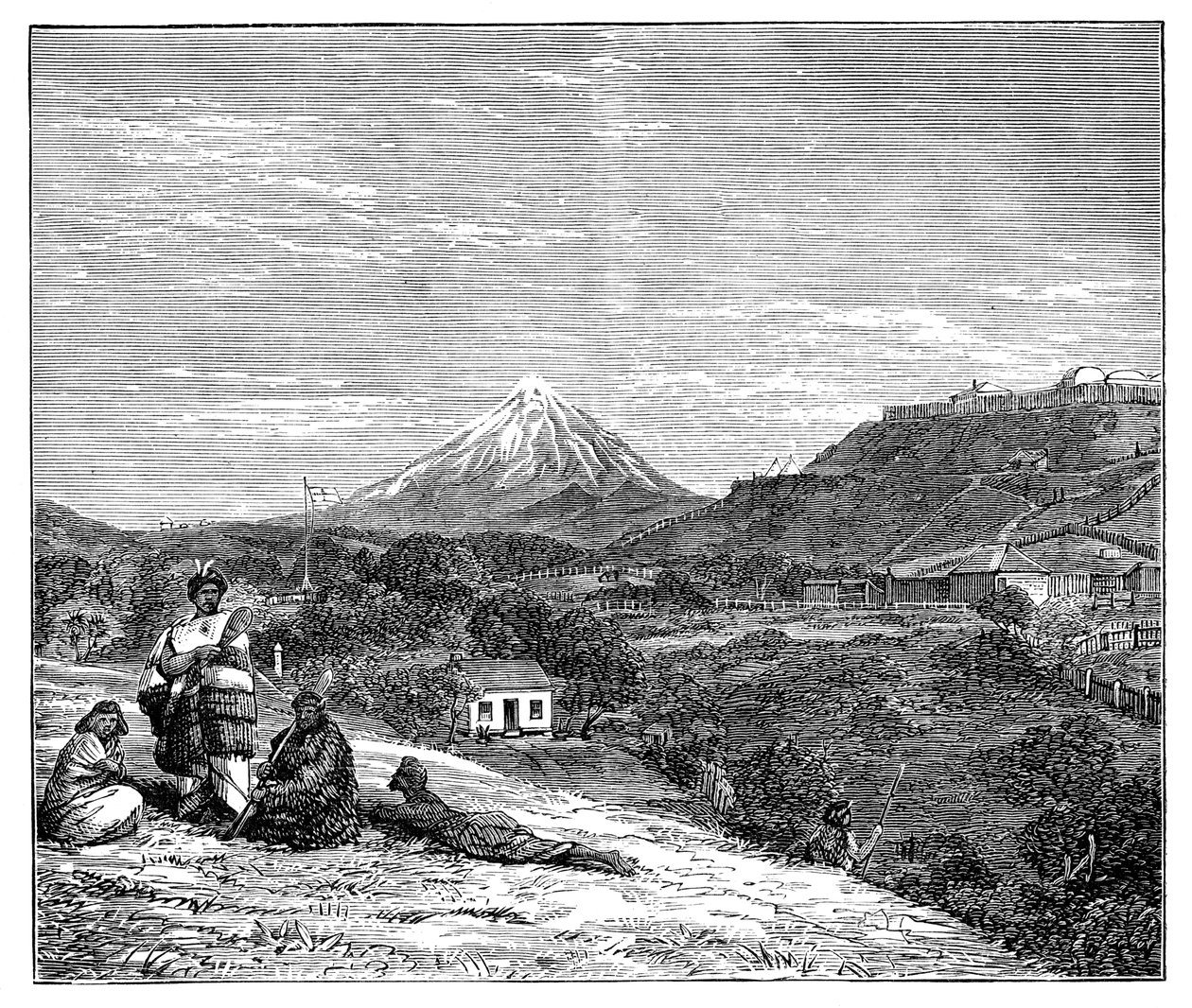 عرض في نيوزيلندا ، 1900 بواسطة غير معروف