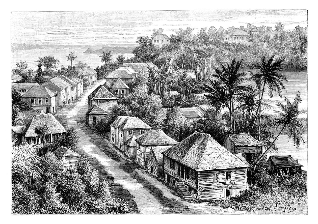 منظر لباسي تيري ، جوادلوب ، c1890 بواسطة غير معروف
