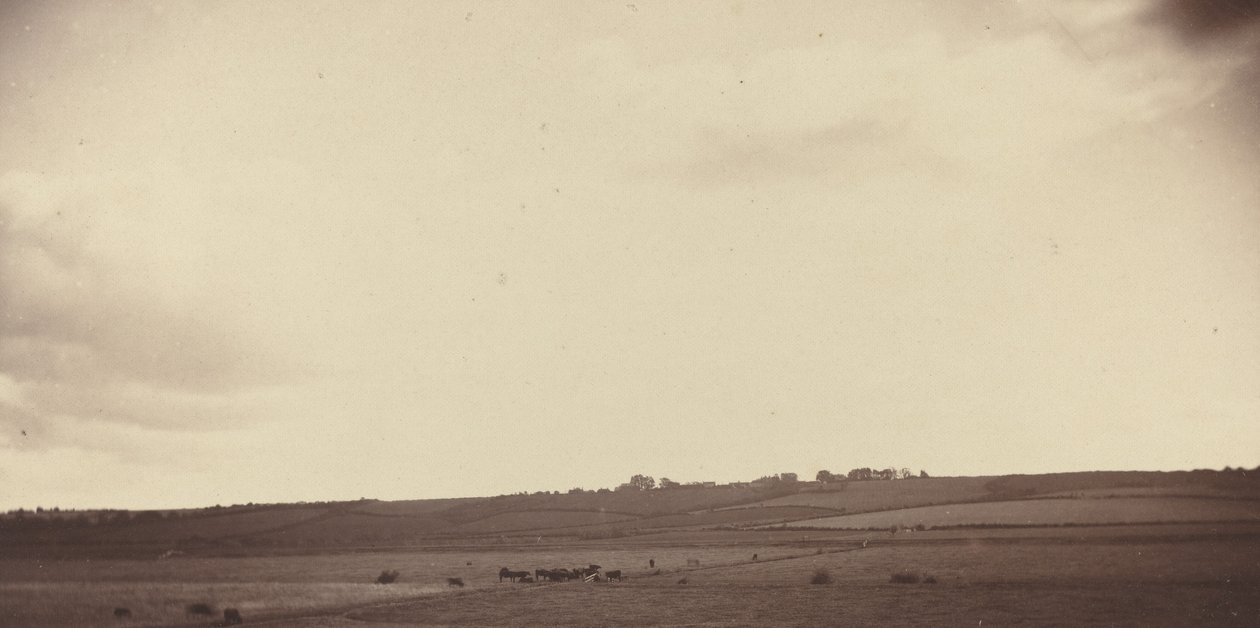 منظر الحقول مع الأبقار ، 1850-1860. بواسطة غير معروف