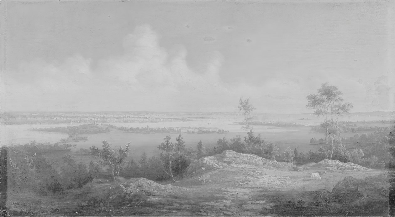 منظر لنيويورك من نيو جيرسي ، كاليفورنيا. 1850. بواسطة غير معروف
