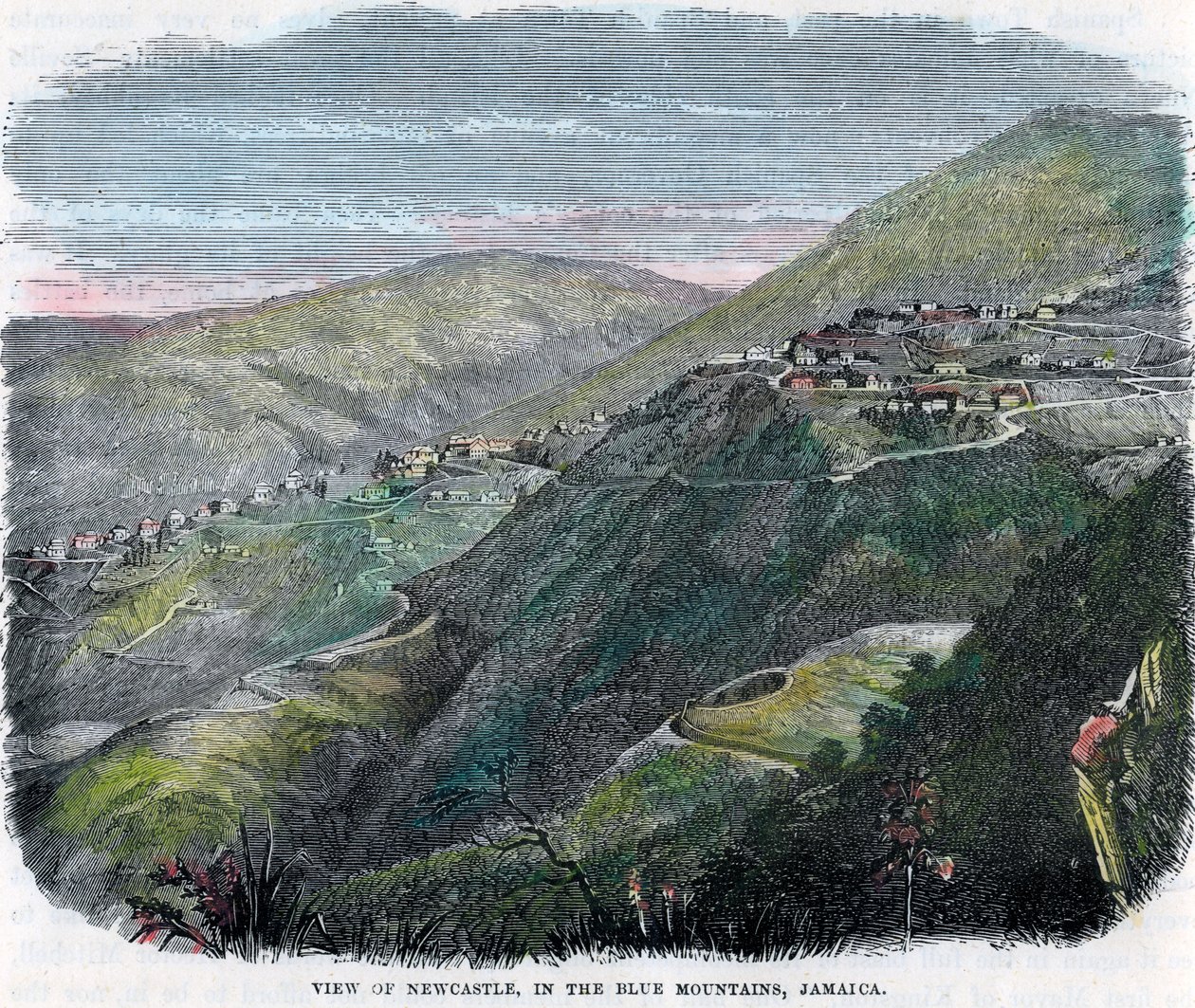 منظر لنيوكاسل ، في الجبال الزرقاء ، جامايكا ، c1880 بواسطة غير معروف