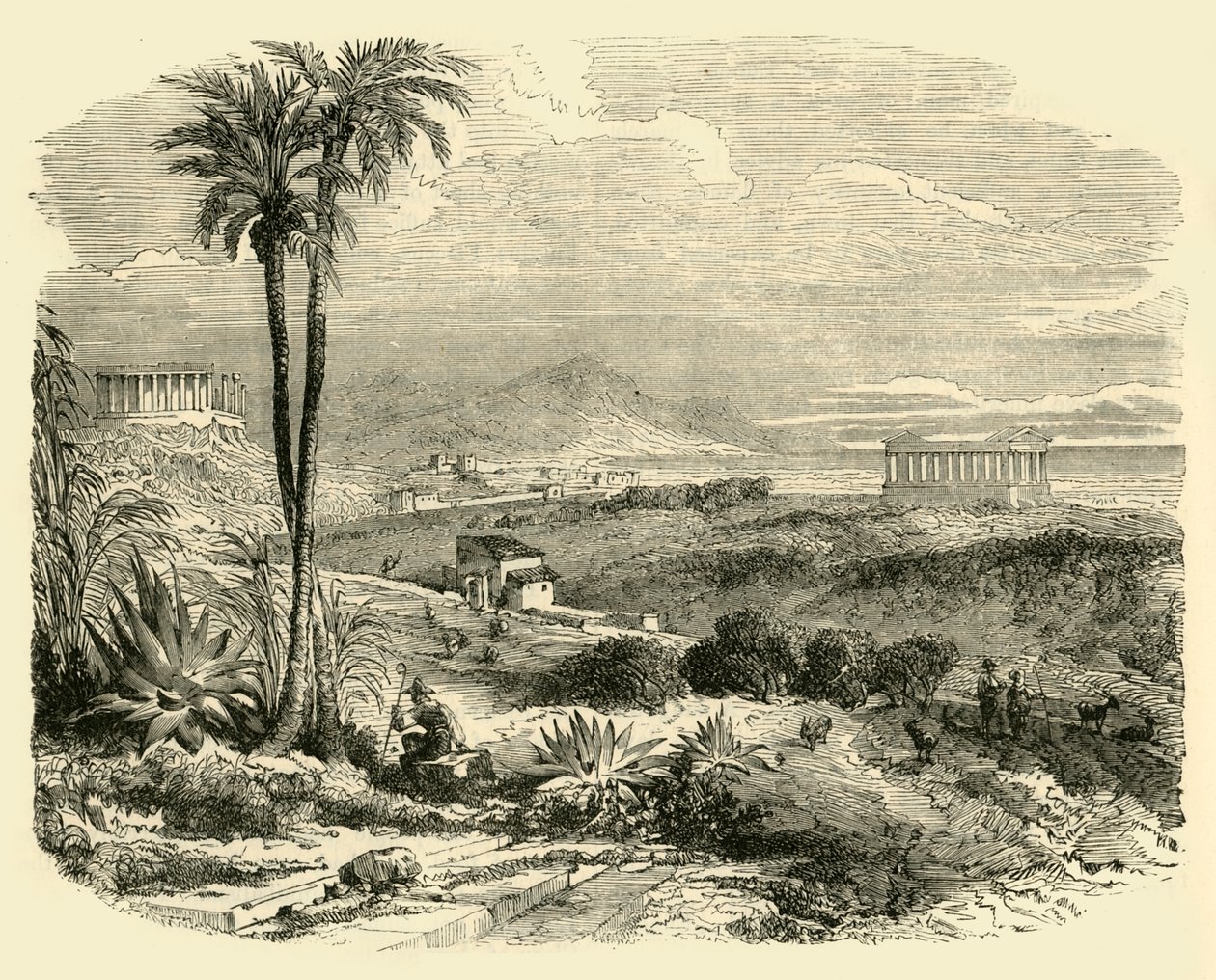 منظر على ساحل صقلية ، 1890. بواسطة غير معروف