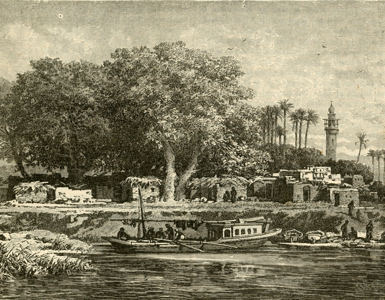 منظر لدلتا النيل 1890. بواسطة غير معروف