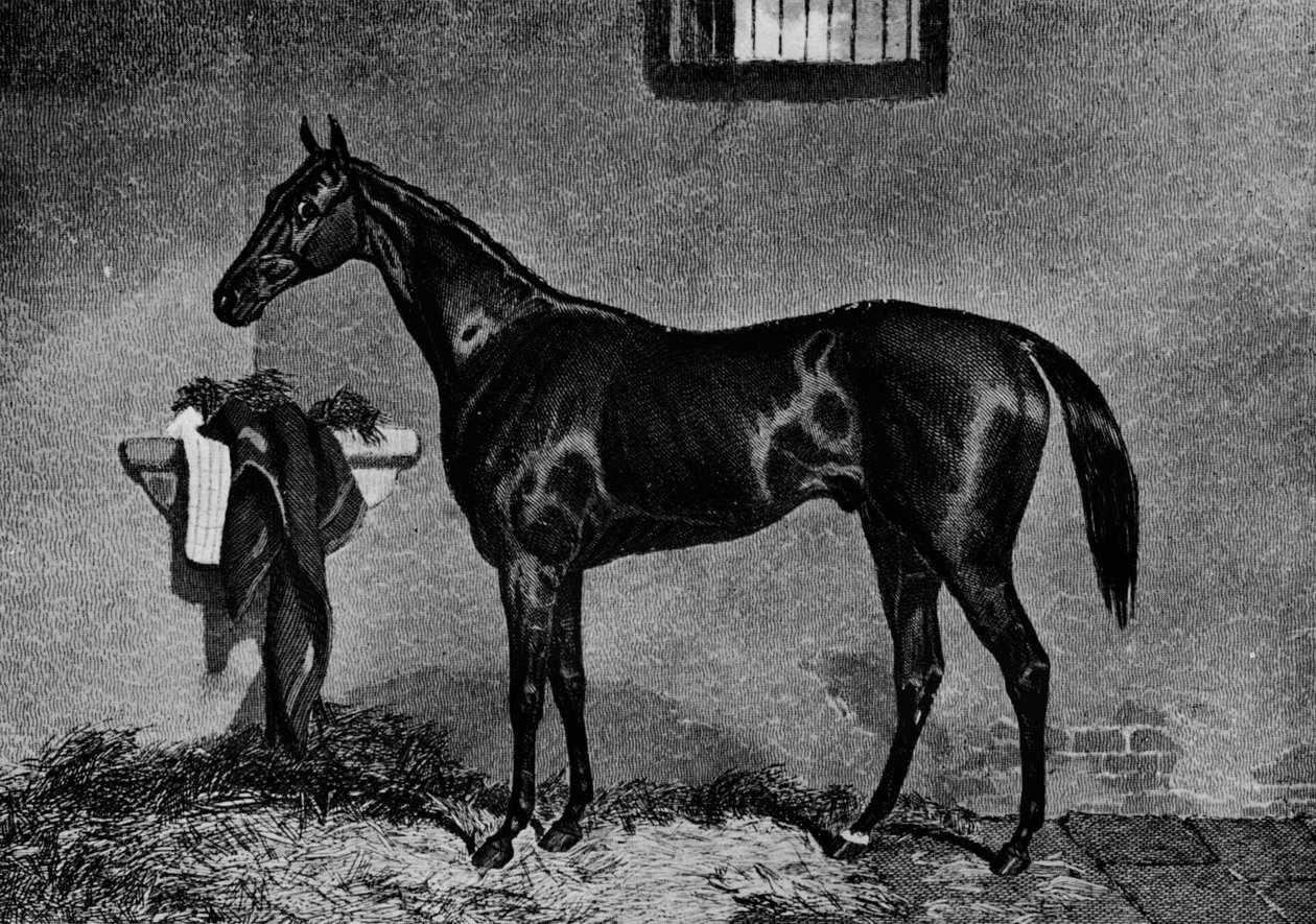 Voltigeur ، 1847-1874 ، 1911 بواسطة غير معروف