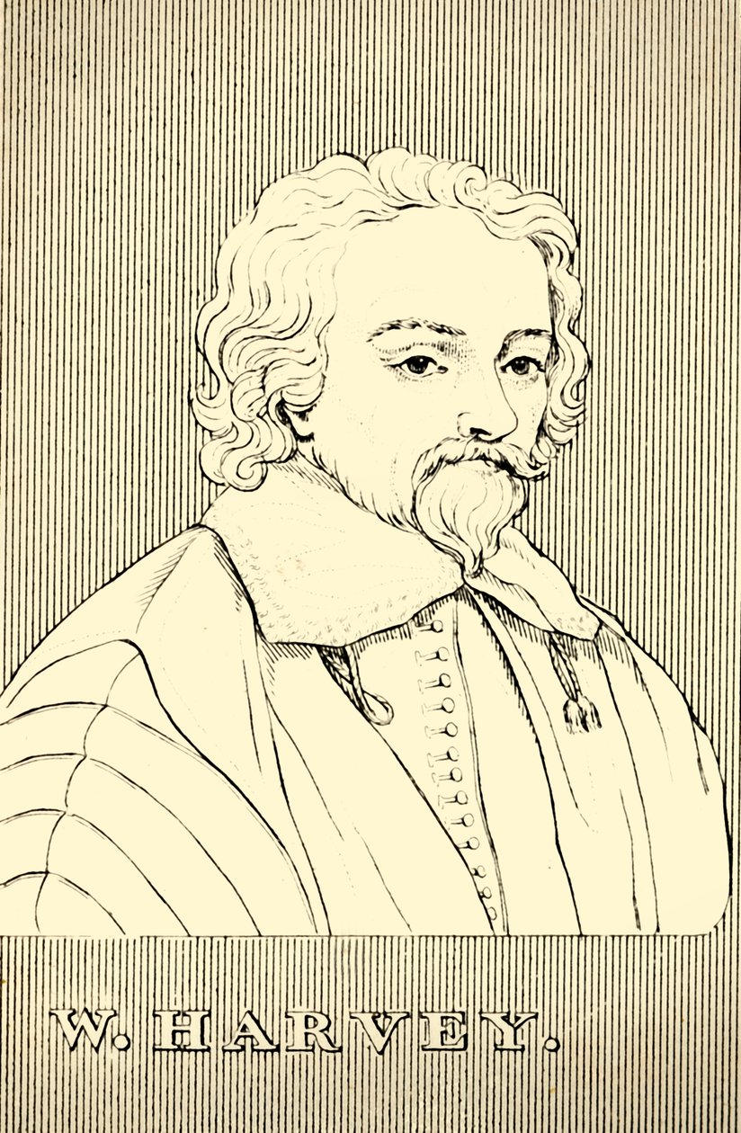 و. هارفي ، 1578-1657 ، 1830. بواسطة غير معروف