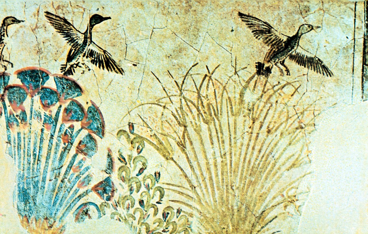 لوحة جدارية من مقبرة إخناتون ، المصرية القديمة ، الأسرة الثامنة عشر ، c1375 قبل الميلاد بواسطة غير معروف
