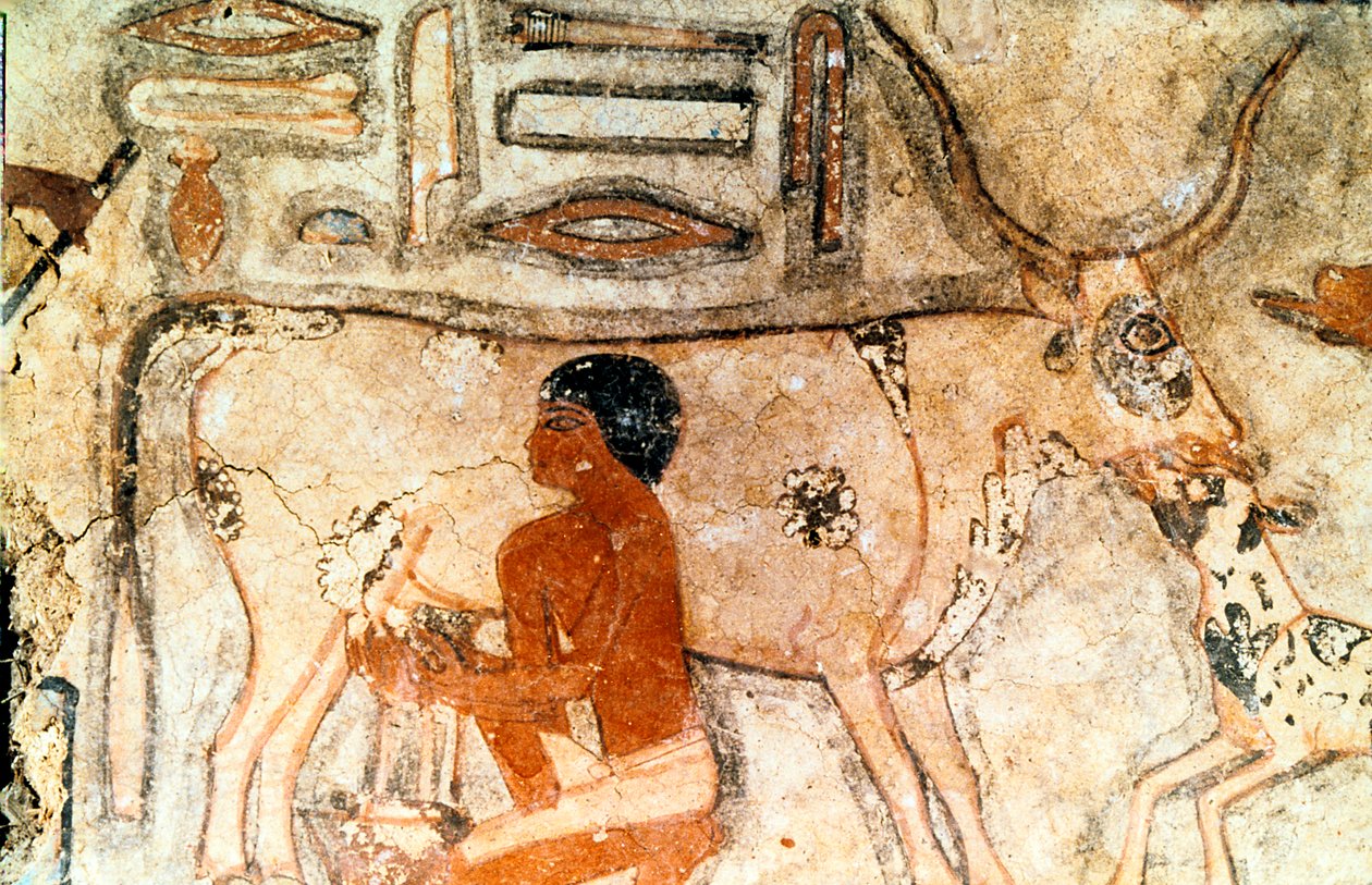 لوحة جدارية من مقبرة ميثي ، سقارة ، مصر القديمة ، المملكة القديمة ، c2371-2350 قبل الميلاد بواسطة غير معروف