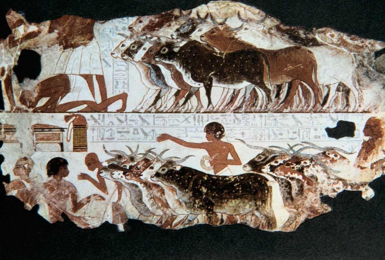 لوحة جدارية من مقبرة نبرون ، طيبة ، مصر ، ج 1350 قبل الميلاد بواسطة غير معروف