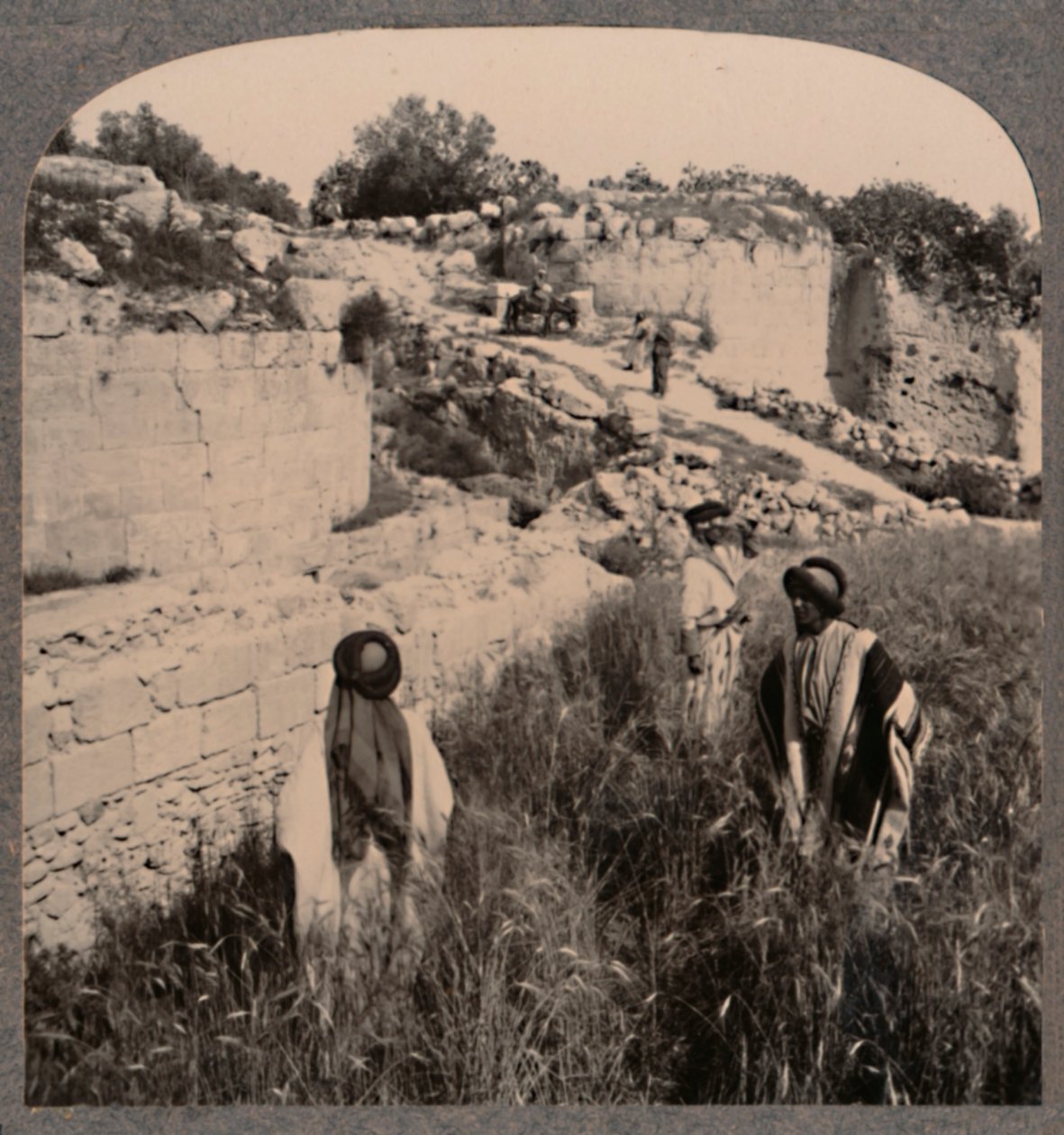 أسوار أوغسطس ، السامرة ، c1900 بواسطة غير معروف