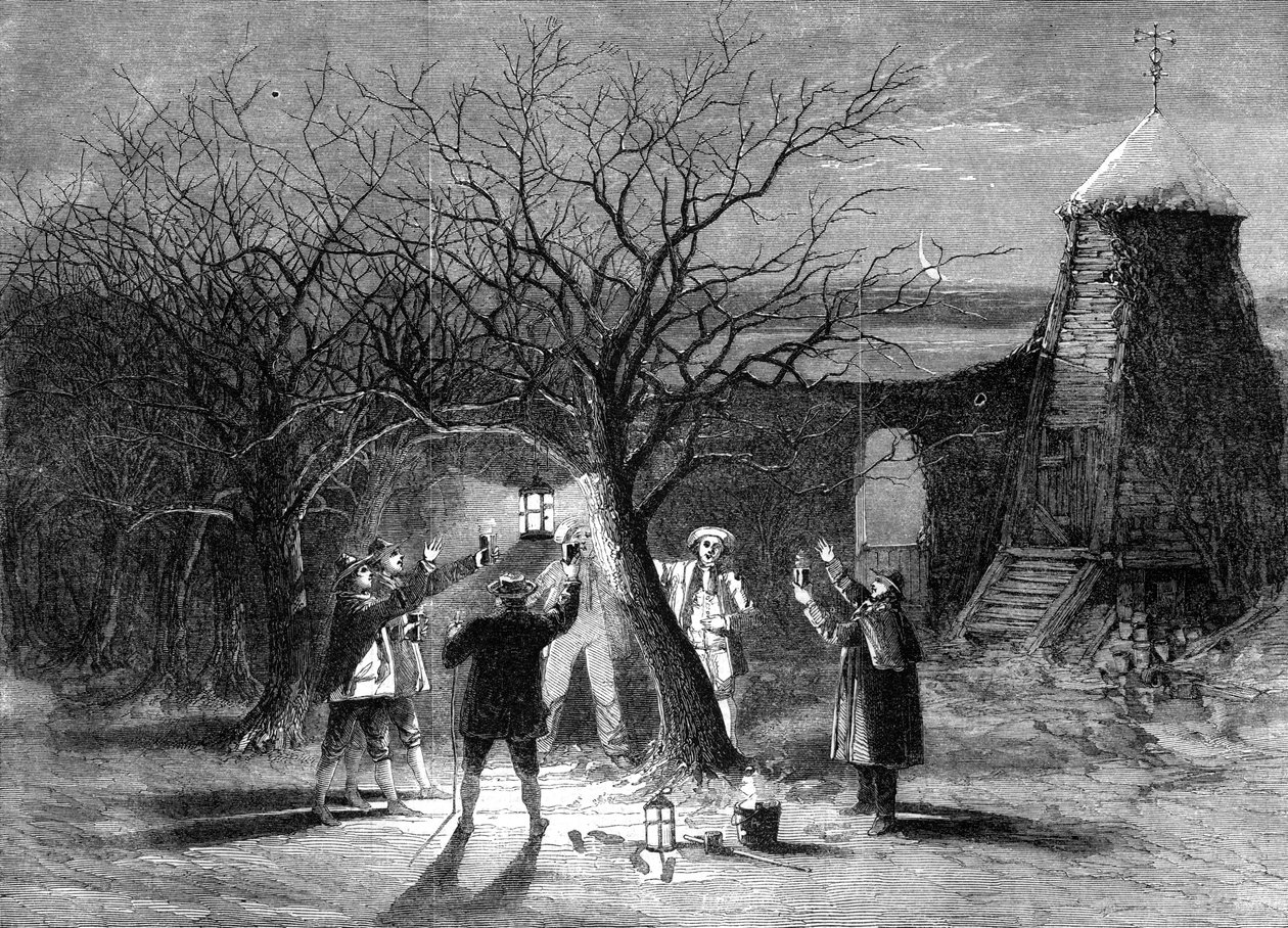 إبادة أشجار التفاح مع عصير التفاح الحار في ديفونشاير عشية الثاني عشر ، 1861 بواسطة غير معروف