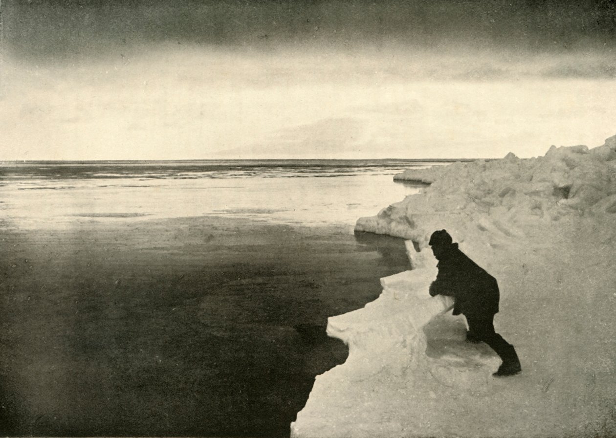 مشاهدة الأختام في Ice-Edge ، c1908 ، 1909. بواسطة غير معروف
