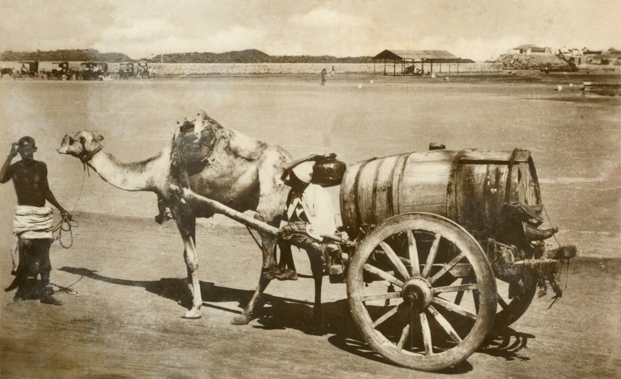 عربة المياه ، عدن ، c1918-c1939. بواسطة غير معروف